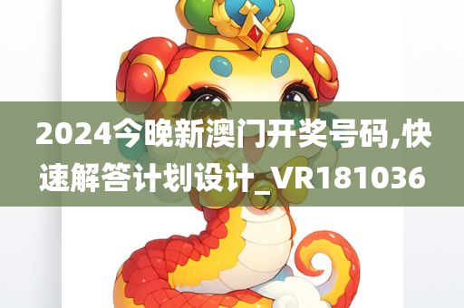 2024今晚新澳门开奖号码,快速解答计划设计_VR181036