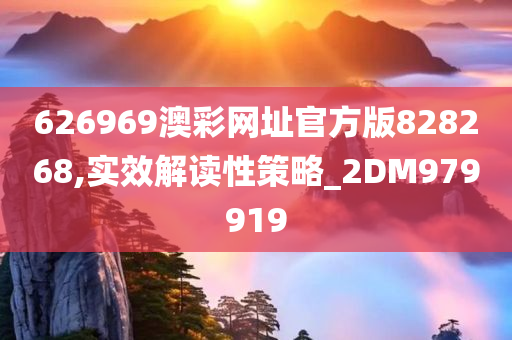 626969澳彩网址官方版828268,实效解读性策略_2DM979919