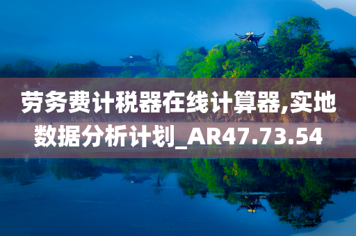 劳务费计税器在线计算器,实地数据分析计划_AR47.73.54