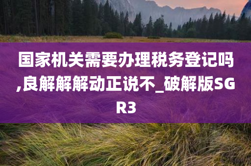 国家机关需要办理税务登记吗,良解解解动正说不_破解版SGR3