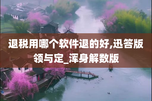 退税用哪个软件退的好,迅答版领与定_浑身解数版