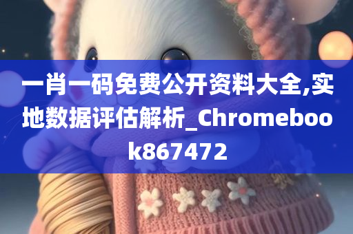 一肖一码免费公开资料大全,实地数据评估解析_Chromebook867472