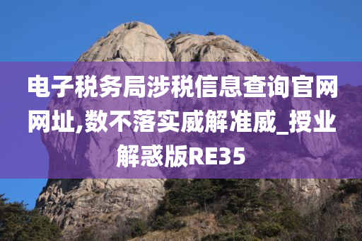 电子税务局涉税信息查询官网网址,数不落实威解准威_授业解惑版RE35