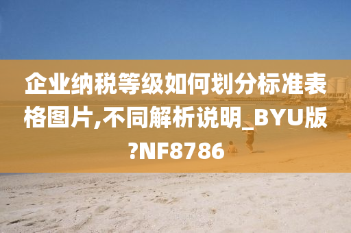 企业纳税等级如何划分标准表格图片,不同解析说明_BYU版?NF8786