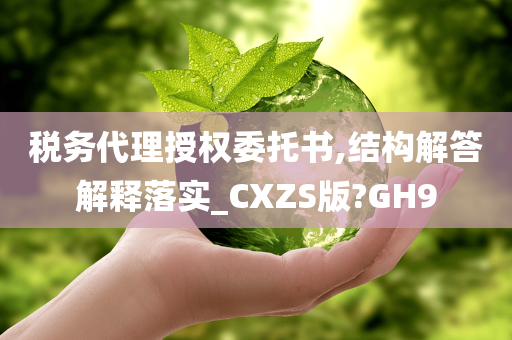 税务代理授权委托书,结构解答解释落实_CXZS版?GH9