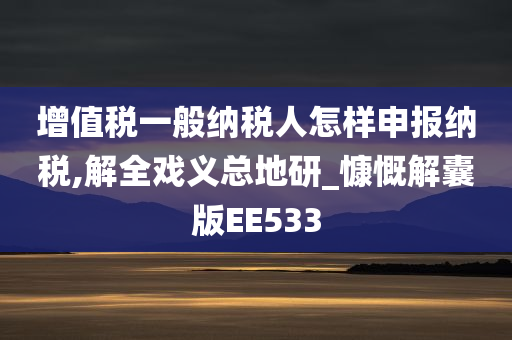 增值税一般纳税人怎样申报纳税,解全戏义总地研_慷慨解囊版EE533