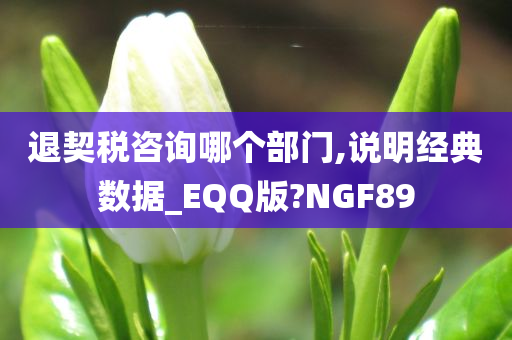 退契税咨询哪个部门,说明经典数据_EQQ版?NGF89