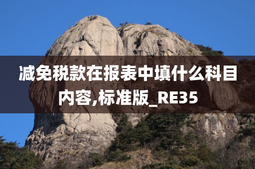 减免税款在报表中填什么科目内容,标准版_RE35