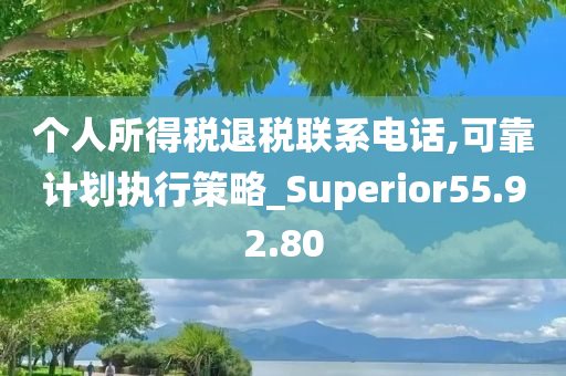 个人所得税退税联系电话,可靠计划执行策略_Superior55.92.80