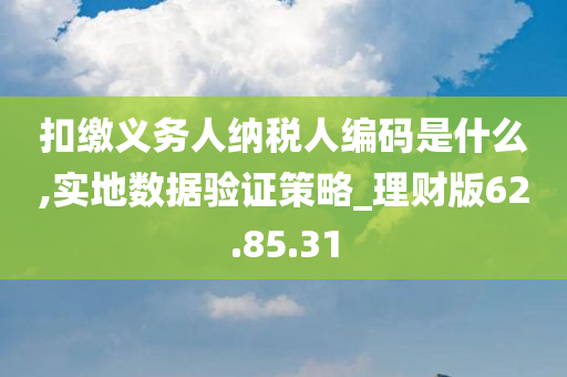 扣缴义务人纳税人编码是什么,实地数据验证策略_理财版62.85.31