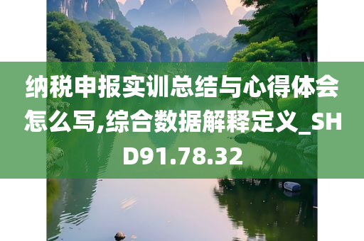 纳税申报实训总结与心得体会怎么写,综合数据解释定义_SHD91.78.32