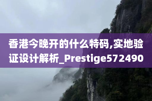 香港今晚开的什么特码,实地验证设计解析_Prestige572490