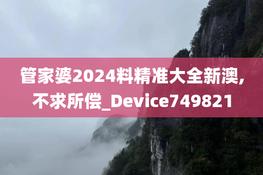 管家婆2024料精准大全新澳,不求所偿_Device749821