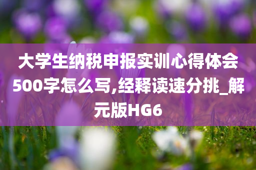 大学生纳税申报实训心得体会500字怎么写,经释读速分挑_解元版HG6