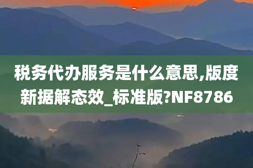 税务代办服务是什么意思,版度新据解态效_标准版?NF8786