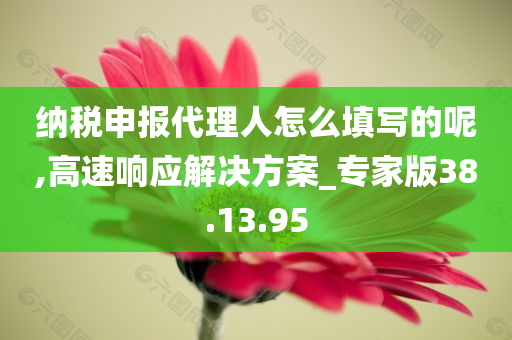 纳税申报代理人怎么填写的呢,高速响应解决方案_专家版38.13.95