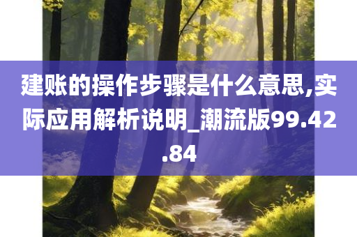 建账的操作步骤是什么意思,实际应用解析说明_潮流版99.42.84