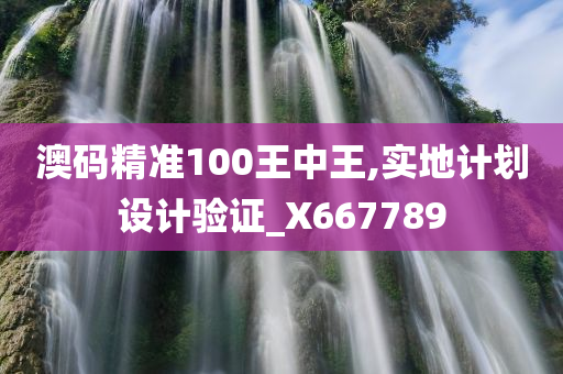 澳码精准100王中王,实地计划设计验证_X667789