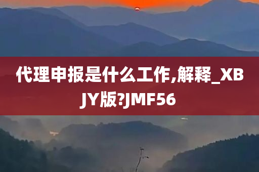 代理申报是什么工作,解释_XBJY版?JMF56