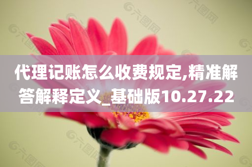 代理记账怎么收费规定,精准解答解释定义_基础版10.27.22