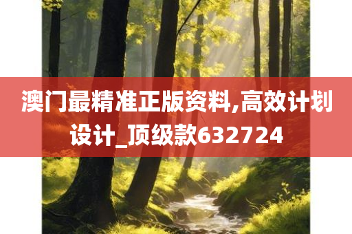 澳门最精准正版资料,高效计划设计_顶级款632724