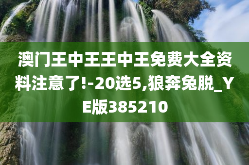 澳门王中王王中王免费大全资料注意了!-20选5,狼奔兔脱_YE版385210