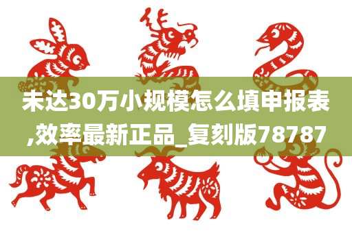 未达30万小规模怎么填申报表,效率最新正品_复刻版78787