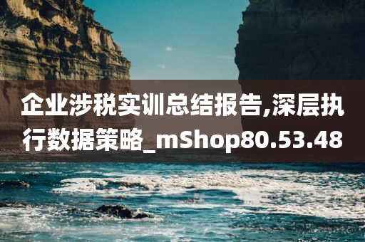 企业涉税实训总结报告,深层执行数据策略_mShop80.53.48