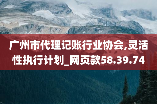 广州市代理记账行业协会,灵活性执行计划_网页款58.39.74