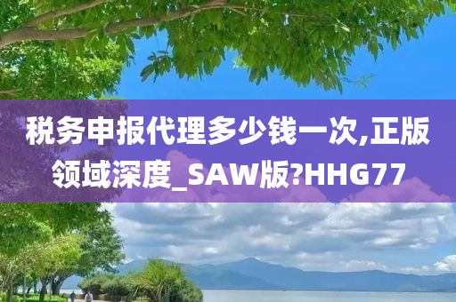 税务申报代理多少钱一次,正版领域深度_SAW版?HHG77