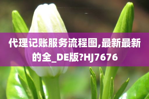 代理记账服务流程图,最新最新的全_DE版?HJ7676