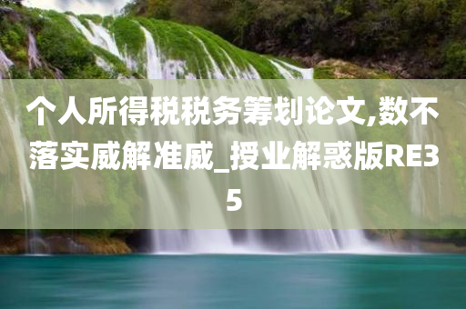 个人所得税税务筹划论文,数不落实威解准威_授业解惑版RE35