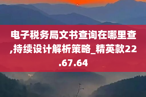 电子税务局文书查询在哪里查,持续设计解析策略_精英款22.67.64