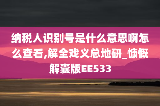 纳税人识别号是什么意思啊怎么查看,解全戏义总地研_慷慨解囊版EE533