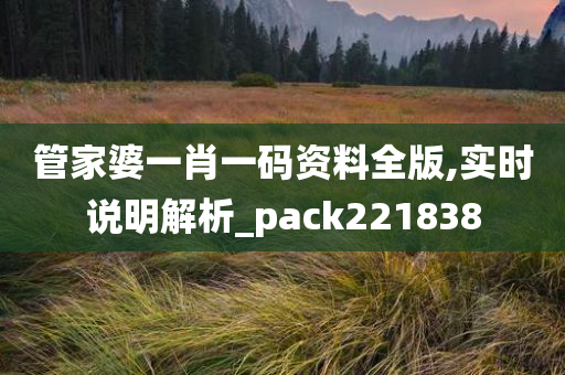 管家婆一肖一码资料全版,实时说明解析_pack221838