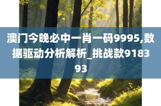 澳门今晚必中一肖一码9995,数据驱动分析解析_挑战款918393