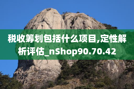 税收筹划包括什么项目,定性解析评估_nShop90.70.42