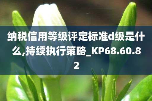 纳税信用等级评定标准d级是什么,持续执行策略_KP68.60.82