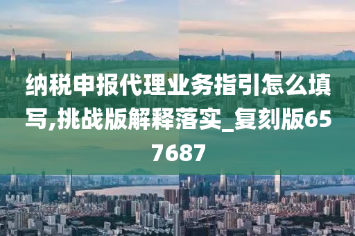 纳税申报代理业务指引怎么填写,挑战版解释落实_复刻版657687