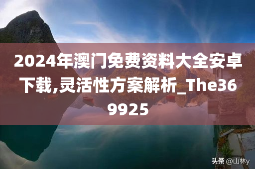 2024年澳门免费资料大全安卓下载,灵活性方案解析_The369925