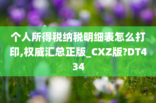 个人所得税纳税明细表怎么打印,权威汇总正版_CXZ版?DT434