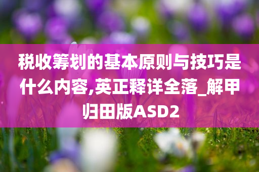 税收筹划的基本原则与技巧是什么内容,英正释详全落_解甲归田版ASD2