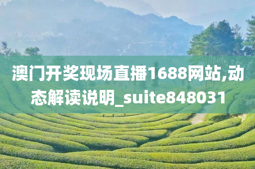 澳门开奖现场直播1688网站,动态解读说明_suite848031