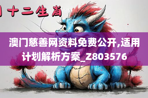 澳门慈善网资料免费公开,适用计划解析方案_Z803576