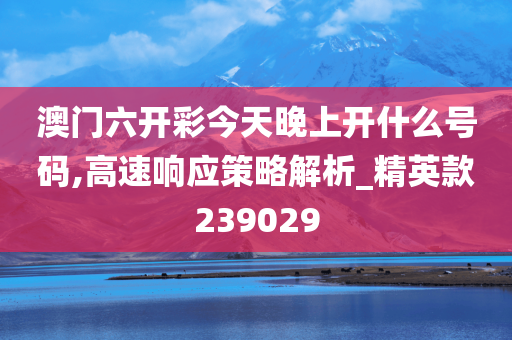 澳门六开彩今天晚上开什么号码,高速响应策略解析_精英款239029