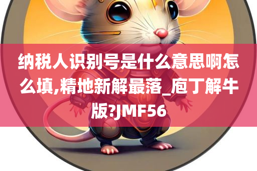 纳税人识别号是什么意思啊怎么填,精地新解最落_庖丁解牛版?JMF56