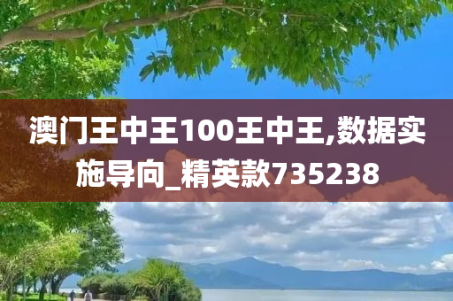 澳门王中王100王中王,数据实施导向_精英款735238