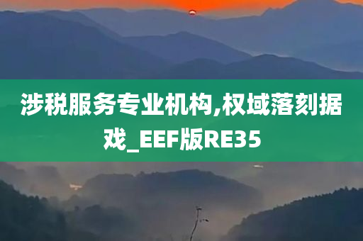 涉税服务专业机构,权域落刻据戏_EEF版RE35