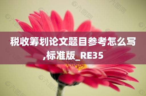 税收筹划论文题目参考怎么写,标准版_RE35