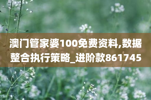 澳门管家婆100免费资料,数据整合执行策略_进阶款861745